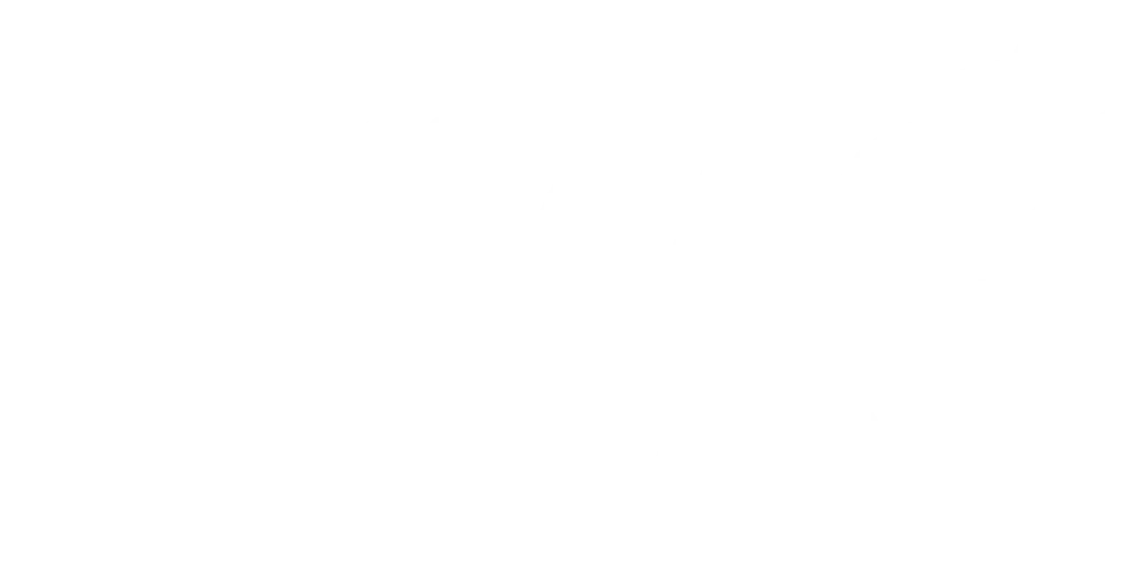Primac Clean Logo
